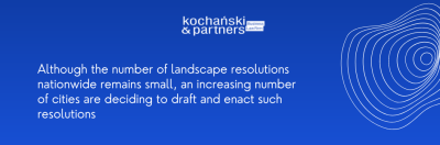 Kochanski Business Law Landscape Resolution