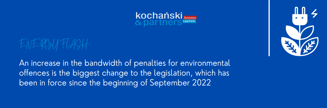 Kochanski Energy Flash Environmental Offences